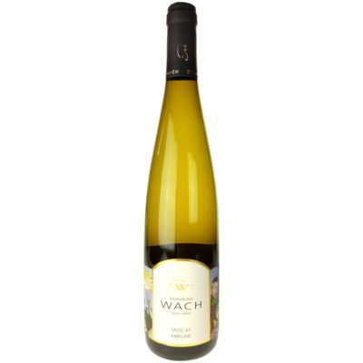 Alsace Muscat Andlau 2025, Domaine Guy Wach